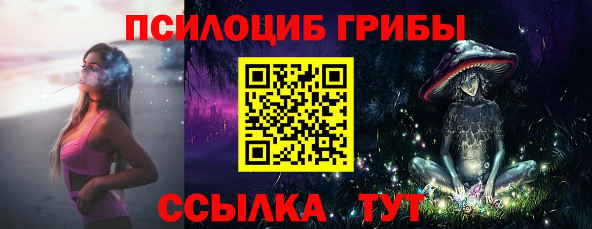 Иркутск  Псилоцибиновые грибы мицелий  Галлюциногенные грибы Psilocybe  Вход с VPN 